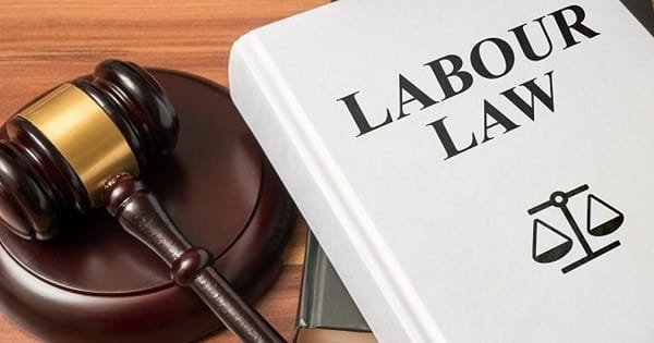 Labor Lawyer