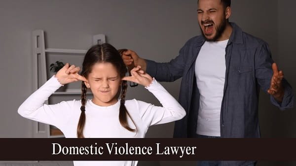 Domestic Violence Lawyer