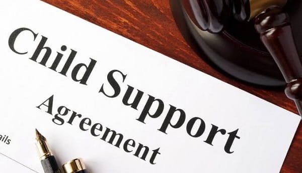 Child Support Take