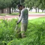SB Mowing Lawsuit