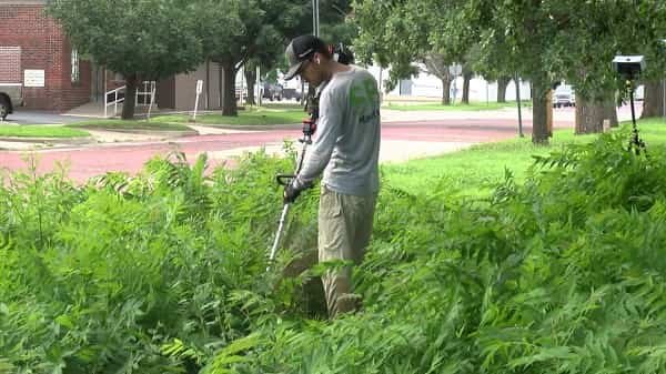 SB Mowing Lawsuit