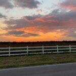 Sunset over a Texas pasture with a white fence lining the road
