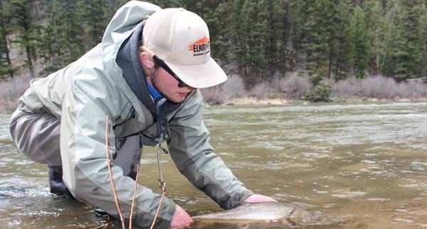 Catch-and-Release Fishing