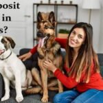 Is Charging a Pet Deposit Legal in Texas?