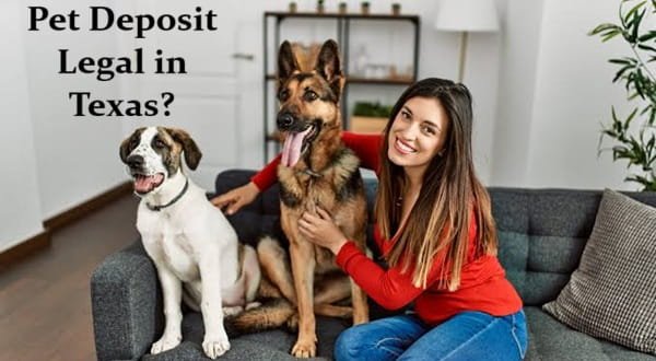 Is Charging a Pet Deposit Legal in Texas?