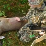 Crossbow