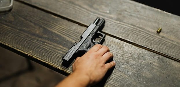 Gun With a Protective Order