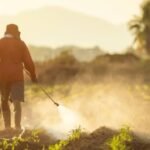 Roundup Exposure