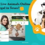 Is Selling Live Animals Online Legal in Texas?