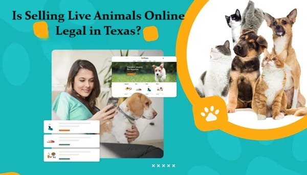 Is Selling Live Animals Online Legal in Texas?