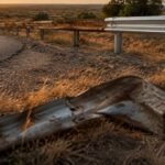 guardrail