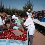 Cesar Mora Nectarine Orchard Dispute