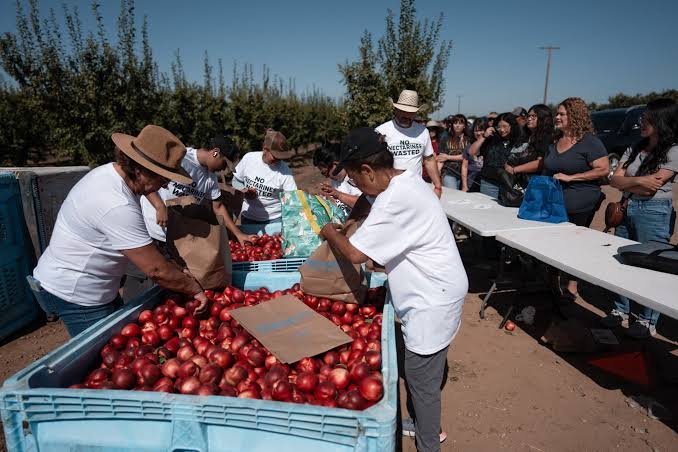 Cesar Mora Nectarine Orchard Dispute