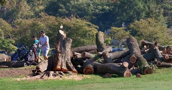 East Potomac Golf Links Tree Removal Legal Dispute