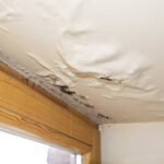 Property Water Damage