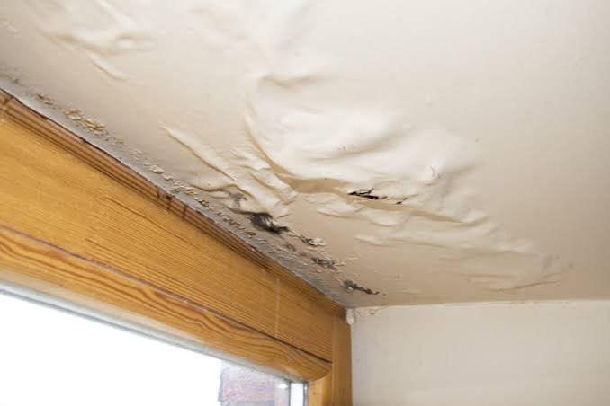 Property Water Damage